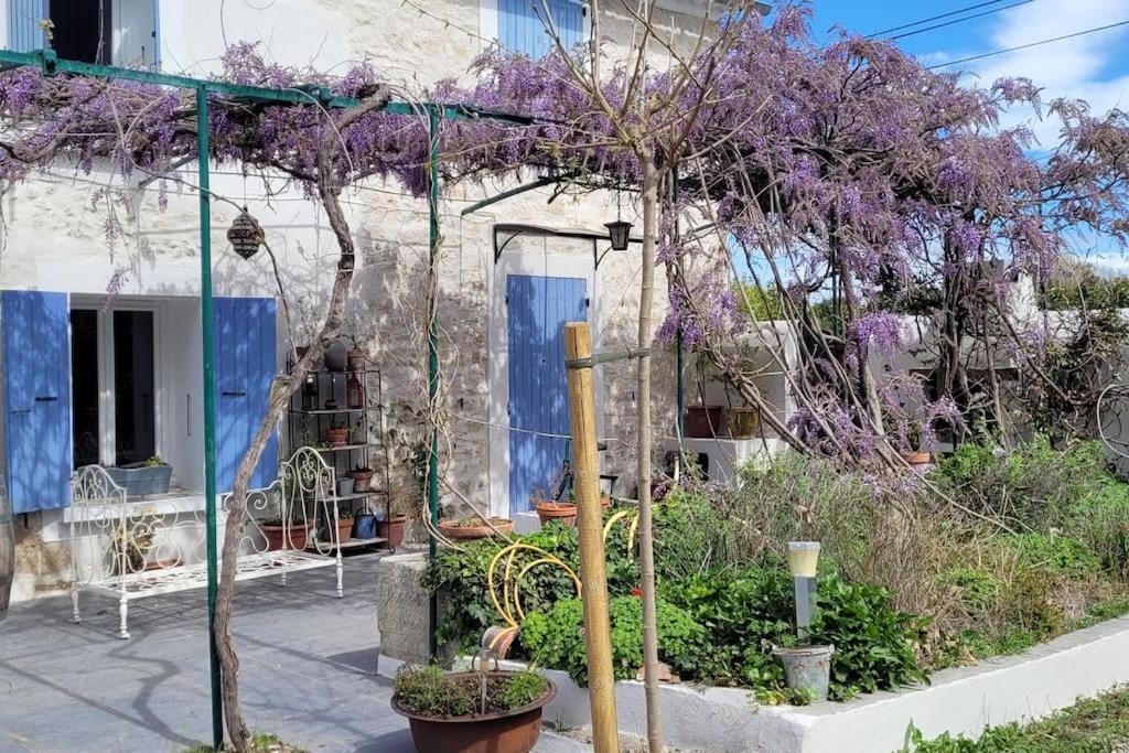 Location Appartement Dans Mas Provencal Monteux Exterior foto