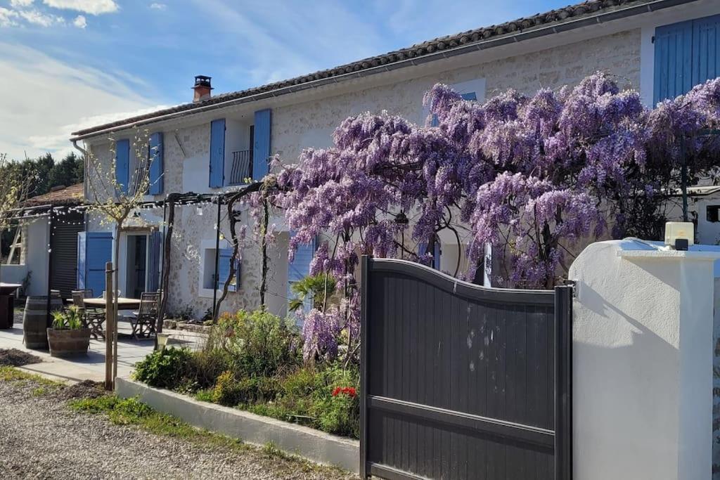 Location Appartement Dans Mas Provencal Monteux Exterior foto