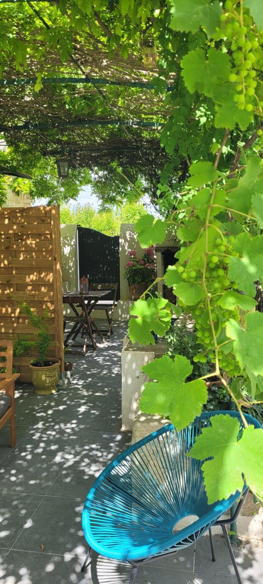 Location Appartement Dans Mas Provencal Monteux Exterior foto
